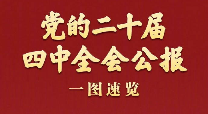 W020251211529432150306